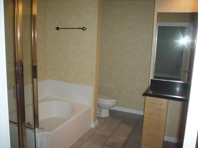 33 Ponce Unit 305 Bath Tub